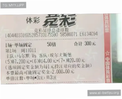 竞彩网首页官方渠道与第三方平台哪个可靠？